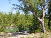 Home-made Swing on Tarpon Belly Key