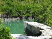 Tarpon Belly Key Old Dock on shrimp canal Old Dock on Shrimp Canal - Tarpon Belly Key
