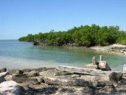 Tarpon Belly Key exploring ruins Exploring Ruins on Tarpon Belly Key