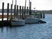 Belhaven Town Dock Belhaven Town Dock
