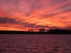 RiverForestManor&Marina6