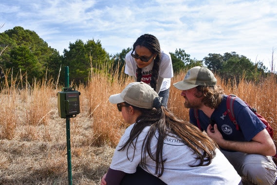 Biologists installing acoustic recorder