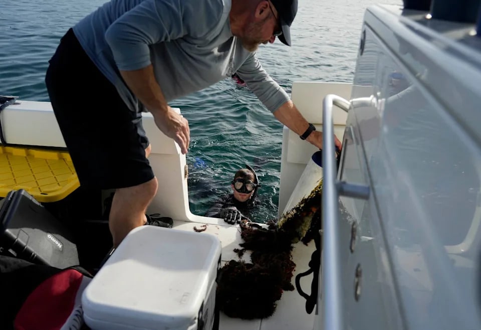 Town of Palm Beach fleet manager Todd MacLauchlin loads a buoy onto the Palm Beach Police marine unit while Palm Beach Police Officer Quinn Mosko, facing, and other divers remove illegal moorings and bottom gear north of the Flagler Bridge in the Intracoastal Waterway on Aug. 26.