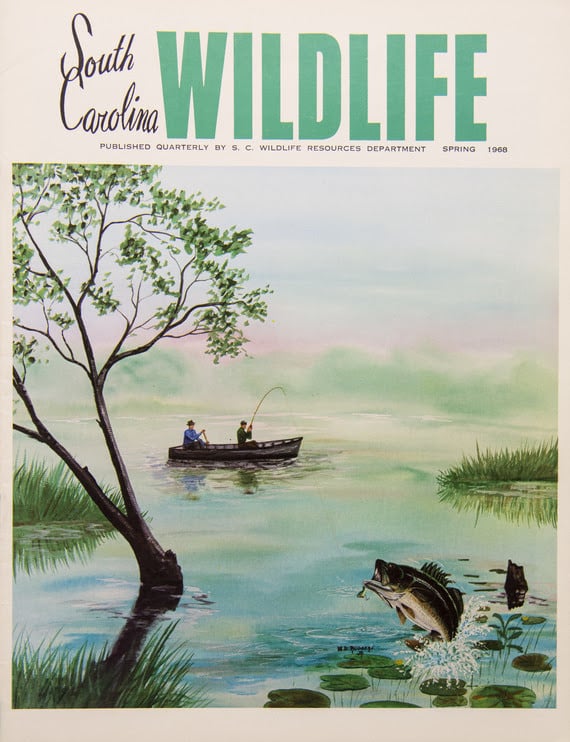 SC Wildlife magazine cover