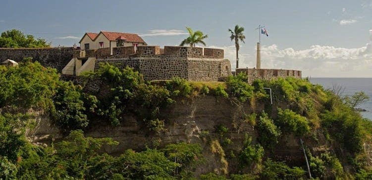 a fort surrounded by palm trees and shrubs