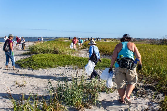 beach cleanup