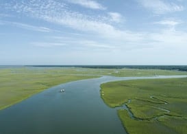 Aerial view of the ACE Basin