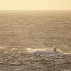 Sub Surfaces in Front of Two Sailboats in Gulf Stream, Surprising Maybe Everyone