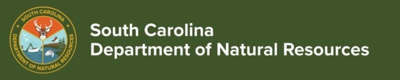 SCDNR color logo and South Carolina Department of Natural Resources text on green background